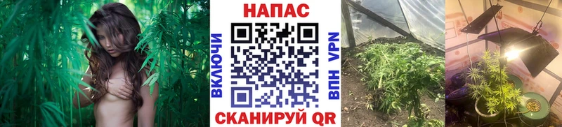 Бошки марихуана Amnesia  даркнет сайт  даркнет как зайти  Тобольск  гидра онион 